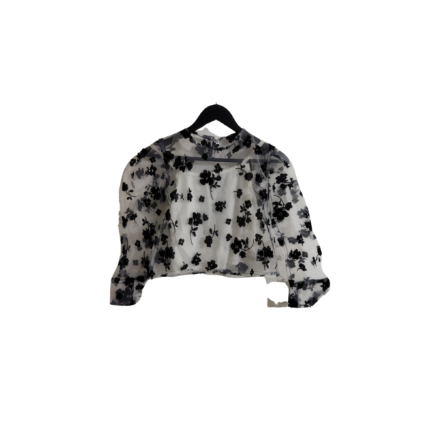 Dreamy Sheer Floral Top With Puff Sleeves