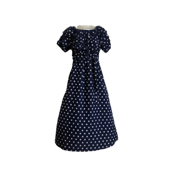 Classic And Elegant Polka Dot Dress