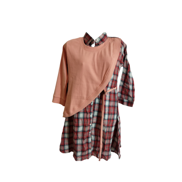 Trendy Chic Plaid Dress With Peach Overlay